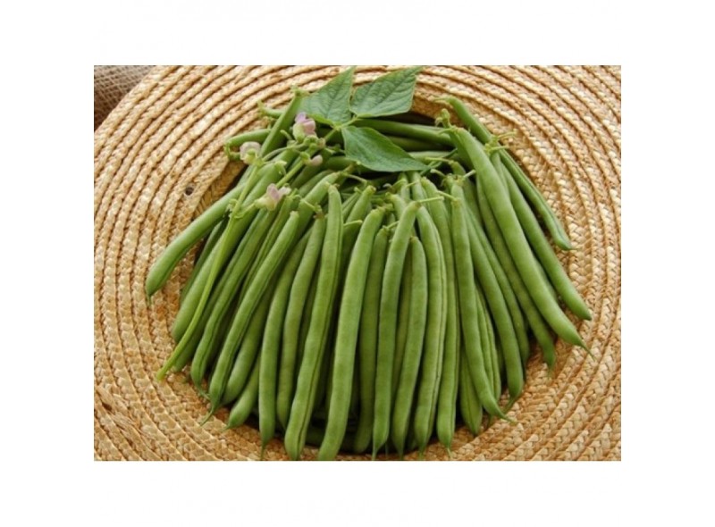 Семена спаржы фасоли Бурмен (0,05 кг), Libra Seeds (Erste Zaden)